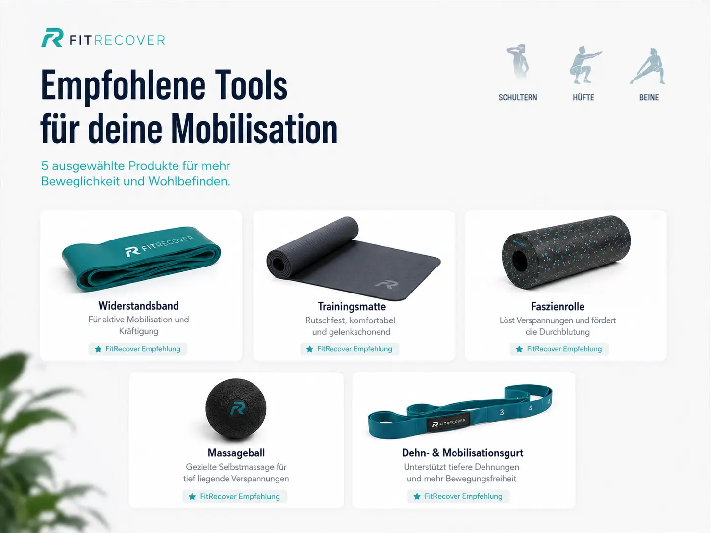Übersicht mit Widerstandsband, Trainingsmatte, Faszienrolle, Massageball und Mobilisationsgurt